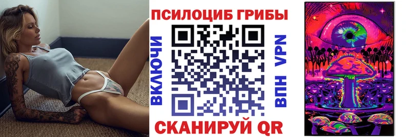 Галлюциногенные грибы Psilocybine cubensis  купить наркоту  Котовск 