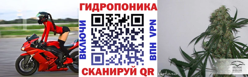 Канабис тримм  МЕГА   Котовск 